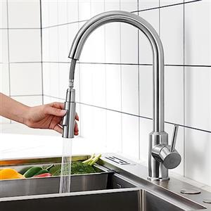 CECIPA Rubinetto Lavello Cucina, Miscelatore Cucina con Doccetta Estraibile 2 Modalità Acqua, Rubinetto Acciaio Inox Girevole a 360°, Risparmio Idrico, Spazzolata