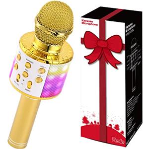 Fede Microfono Karaoke Bluetooth Wireless per Bambini, Karaoke Portatile con Luci LED Multicolore per Cantare, Funzione Eco, Compatibile con Android/iOS, PC o smartphone