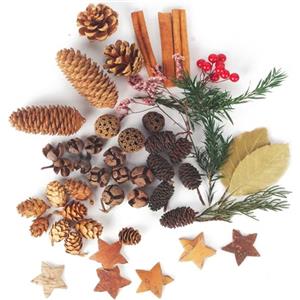 LIAILA 58 pezzi corona avvento, Kit per artigianato ghirlanda natalizia accessori naturali per la decorazione vegetale, inclusi pioppo, coni d'acero, coni di abete rosso, stelle di corteccia di betulla