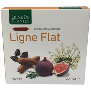 Natura Service Ligne Flat - 15 Ampolle Bevibili da 15 ml per la Digestione e il Benessere Intestinale
