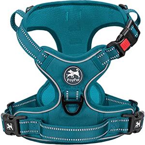 PoyPet No Pull Imbracatura riflettente per cani senza choke, gilet regolabile e morbido imbottito con impugnatura Easy Control per cani di piccola e grande taglia (Tumalo Teal,S)