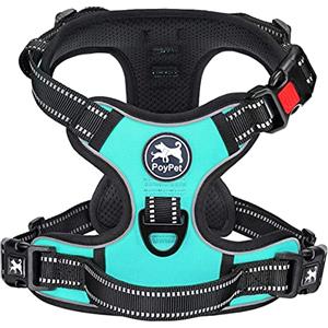 PoyPet - Pettorina anti-tiro per cani con parte anteriore riflettente, con impugnatura e parte posteriore, perfetta per l'allenamento quotidiano, camminata, corsa (blu menta, XL)