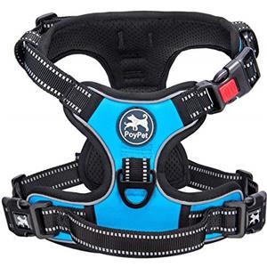 PoyPet - Pettorina anti-trazione per cani con parte anteriore e retro riflettenti, impugnatura per un facile controllo, perfetta per l'allenamento quotidiano, camminata, corsa (blu, M)