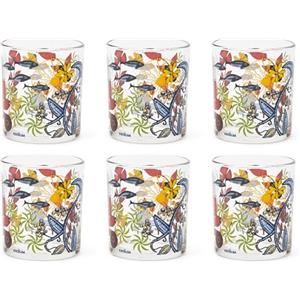 Excelsa Afrika Set 6 Bicchieri, Vetro, Capacità 250 Ml.