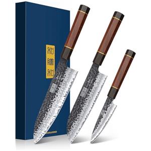 HOSHANHO Set Coltelli da Cucina - Giapponese Forgiato a Mano Coltelli da Cucina 3 Pezzi in Acciaio Inox, Coltello da Chef 20 cm Coltelli Santoku 18 cm Coltelli per Frutta 9,5 cm
