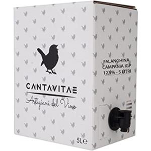 Azienda Agricola CantaVitae VINO FALANGHINA IGP IGT bag in Box 5 L bianco CAMPANIA 12,5% Sfuso da Azienda Agricola