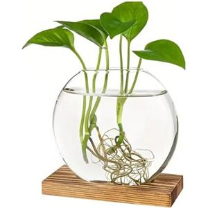 Generic Fioriera Rotonda in Vetro con Supporto in Legno - Contenitore per Piante Idroponiche, Elegante Vaso (Marrone)