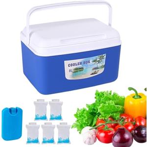 Generico Portabevande Isotermico | Isolati Ermetici a Tenuta Stagna,Contenitore Termico da Campeggio - Per uomo donna gite all'aperto picnic lavoro snack frutta bevande