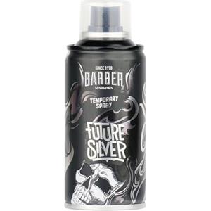 barber marmara lacca colorata per parrucchieri - 150ml - lacca colorata per capelli per acconciature carnevale, Halloween e feste a tema - tinture per capelli lavabili - Color Spray (Future Silver)