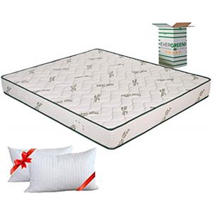 EVERGREENWEB MATERASSI & BEDS EVERGREENWEB Materasso Matrimoniale 160x190 Alto 20 cm + 2 CUSCINI Memory GRATIS, Rivestimento Oli Essenziali ALOE VERA, Lastra in Waterfoam ORTOPEDICO Tessuto Traspirante x Tutti Letti e Reti OFFERTA