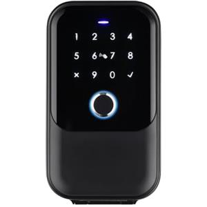 Terphadp Coperchio Impermeabile Sicuro Tuya Codice Impronta Digitale Bluetooth Wifi Smart Key Box App Montaggio A Parete Remoto Cassetta di Sicurezza con Combinazione