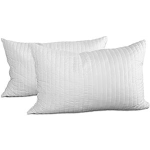 EVERGREENWEB MATERASSI & BEDS EVERGREENWEB Cuscini Letto 40x70cm (Set di 2), Guanciale Letto in Coppia, Soffice e Morbido, Cuscino per Dormire in fiocchi di Memory, Ottimo per Sonno Profondo, adatto a tutti i Materassi