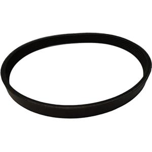 ANMITI Cintura per Tapis roulant 4PJ622 245J Alte Prestazioni con Design Professionale 4Peak 3Groove per operazioni fluide e silenziose Utilizza la Cintura per Tapis roulant da Corsa