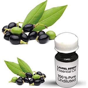 Vishaka Arts Laurel Berry - Olio essenziale, 100% puro bacche di alloro, olio essenziale non diluito, qualità premium, 10 ml
