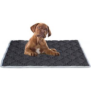 EVERGREENWEB MATERASSI & BEDS EVERGREENWEB - Materassino per Cane Imbottitura in MEMORY FOAM 45x65 cm Rivestimento Grigio Morbido LAVABILE Ipoallergenico, Letto Multiuso per Animali Domestici di Taglia Piccola, Cuccia Tappeto, DOG