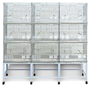 Pet's Solution - Batteria Gabbie da Cova Silver con Carrello e Accessori, per Allevamento, Riproduzione ed Esposizione Uccelli - 3 Moduli con 9 Gabbie di 60x42x43h cm