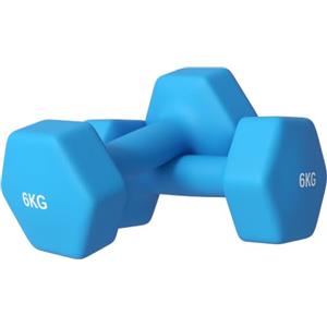 SPORTNOW 2x1-10 kg Set di 2 Manubri Palestra Esagonali Antiscivolo | Set Pesi Palestra Esagonali in Metallo, Allenamento Forza Fitness Casa, per Uomini/Donne