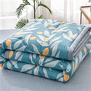 Chickwin Trapuntino Copriletto Matrimoniale Singolo, 3D Semplice Reversibile Coperta Primaverile Autunnale Trapunta Estivo Trapuntato Coperta Letto per Camera da Letto (100x150cm,Lago Blu)