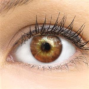 GLAMLENS Lenti a contatto colorate Cagliari Brown - marrone mensili - con porta lenti a contatto -marroni naturali in silicone idrogel 2 pezzi DIA 14.0 senza correzione 0.00 diottrie lente a contatto