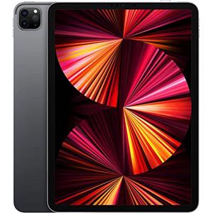 Apple iPad Pro 11 pollici M1 (2021) 3a generazione, Grigio Siderale - 128GB - Wi-Fi - Ottimo