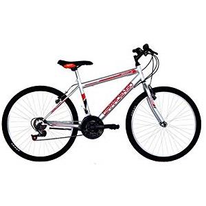 MASCIAGHI BICICLETTA DONNA MTB GIRARDENGO 24 - colori assortiti