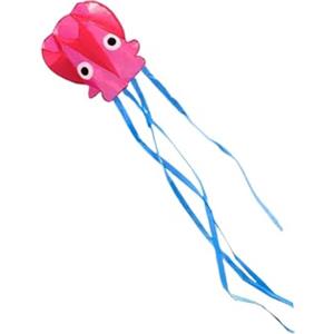 PciDinFo Generic Aquilone Da Giardino, Manica a con Corda, Giocattolo Volante per Esterni, Giocattolo per Bambini, Aquilone per Principianti E Adulti, Spiaggia, Rosso