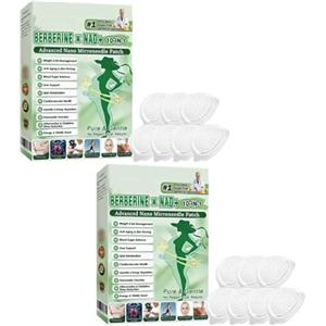 Hualabo Healrize Moringa - Cerotti dimagranti 10 in 1 con nano microneedle 10 in 1, con ingredienti naturali, cerotti dimagranti per uomini e donne (2 scatole)