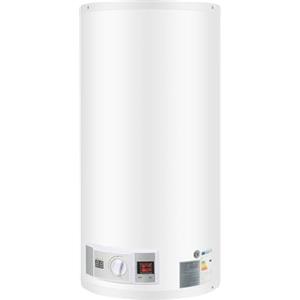Zalydala Scaldabagno elettrico da 50 litri, scaldabagno elettrico 80L (2000W) - Riscaldamento in acciaio inossidabile, regolatore di temperatura 25-75°C, incluso set doccia e supporto a parete, IPX4, per