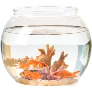 Generic Serbatoio per Pesci Trasparente Infrangibile in Plastica, Ciotola per Pesci Betta e Rettili ad Alta Trasparenza, Ornamentale, Acquario da Scrivania per Decorazione Ufficio (A)