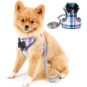 PAIDEFUL Pettorina per Cani di Piccola Taglia a Quadri Vestiti a Quadri Imbracatura per Gatti Gilet a Rete Morbida con Guinzaglio per Camminare Guinzagli per Cuccioli Chihuahua Bassotto Allenamento