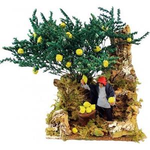 Joy Christmas Pastore per Presepe in Movimento 17 cm x 17 cm Il Raccoglitore di Limoni