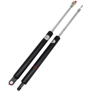 Kwedfgo Molla A Gas Supporto A Gas Molle A Gas Supporto Per Bagagliaio Cofano Auto Roulotte Porte Finestre Boccaporti Barche Autobus 300 N 300/350/400/450/500/600 Mm Asta Portellone Bagagliaio(450mm)