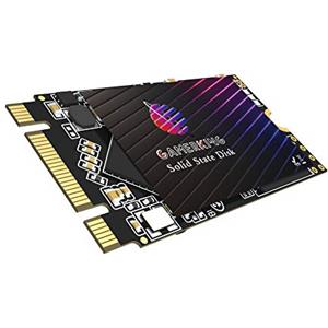 GAMERKING SSD M.2 2242 64 GB Ngff unit?a stato solido interna 1 TB 512 GB 256 GB 128 GB per laptop desktop SATA III 6 Gb/s disco rigido ad alte prestazioni (64 GB, M.2 2242)