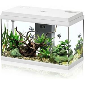 AQPET Acquario in Vetro per Pesci Tropicali Completo di Accessori Filtro Luce Simply, 60 59x30x39 cm 60 Litri, Bianco