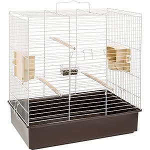 Ferplast Gabbia per Uccelli SONIA LARGE Gabbia per Pappagalli, Cenerini, Pappagallini, Parrocchetti, Calopsite, in Metallo, Accessori inclusi Posatoi Mangiatoie Girevoli, 61,5 x 40 x h 65 cm.