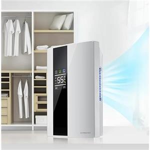 Pneterg 2 In 1 Purificatore d'Aria & Deumidificatore, Anti Muffa, Elettrico, Distruttore di Odori per Camera Ufficio Casa Appartamento Cantina