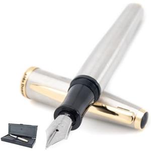 Monteverde Penna Stilografica Aldo Domani - Punta Media - Fusto Silver - Con Cappuccio a Svitamento