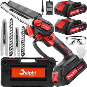 Delphi Mini motosega 21V con 2 batterie