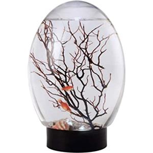 NIDONE Ecosistema acquatico chiuso di mini acquario ecosistema chiuso con acqua nera per desktop luminosa a LED non è necessario nutrire o cambiare acqua, ecosistema della biosfera