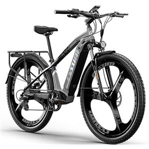 Antgooat Speedy E Bike Mountain Bike 29 pollici | Bicicletta elettrica MTB Ebike Batteria 672 Wh 25 km/h per 165-190 cm Dotata di portapacchi e parafango (Grigio)