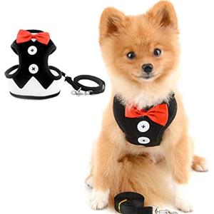 PAIDEFUL Signore Pettorina per Cani di Taglia Piccola e Media Gatto Guinzagli per Imbracatura Maglia Morbida Cucciolo di Chihuahua Pettorina con Guinzaglio Cagnolini Abito da Cerimonia Nuziale Nero S
