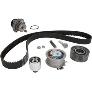 INA Kit Distribuzione con Pompa Acqua - Larghezza 30mm, 141 Denti, Compatibile con VW Golf V e Audi A3/A4