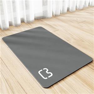 Xisnuient Tappetino Assorbente Sottociotola Per Cani Gatti Tovaglietta Per Ciotola In Diatomea Per Cibo Tappetini Lavabile Antiscivolo Riutilizzabile Gatti Cani Conigli Mat Carpet (30x40 cm,Grigio Scuro)