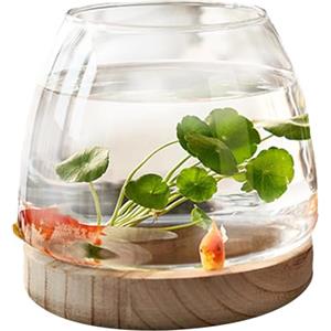 Penlimly Ciotola per pesci in vetro trasparente con base in legno, piccola ciotola per pesci da tavolo per pesci d'oro Betta, vaso per fiori e piante idroponiche, terrario per piante idroponiche, decorazione
