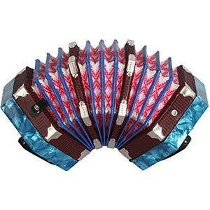HUIOP Fisarmonica a fisarmonica a 20 bottoni a 20 ance stile antracite con borsa per il trasporto,Concertina