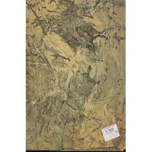 Generic Carta Noccia per Presepe, Terra Modellabile, Sfondo Presepi, Montagna Roccia, Prodotto Made in Italy, 100 cm x 70 cm, Confezione da 6 Pezzi