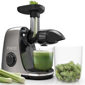 Fentic Estrattore Frutta e Verdura - Centrifuga Frutta e Verdura - Orizzontale Estrattore Di Succo con Funzione di Inversione - Motore Silenzioso e Potente - Con Tazza per Polpa e Succo