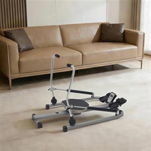 NoneDanGee vogatore idraulico fitness in acciaio, pieghevole per la casa con display LCD, portata massima di 120 kg, macchina per il canottaggio per l'allenamento di tutto il corpo