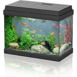 AQPET Acquario in Vetro per Pesci Tropicali Completo di Accessori Filtro Luce Simply, 30 39x22x30 cm 30 Litri