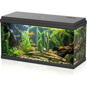 Aqpet Acquario in Vetro per Pesci tropicali Completo di Accessori Filtro Luce Simply, 100 80x32x47 cm 100 Litri